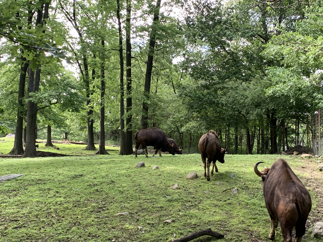 8E286D47-17B8-438D-AE99-14FBCB1B2280