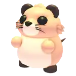 Muskrat
