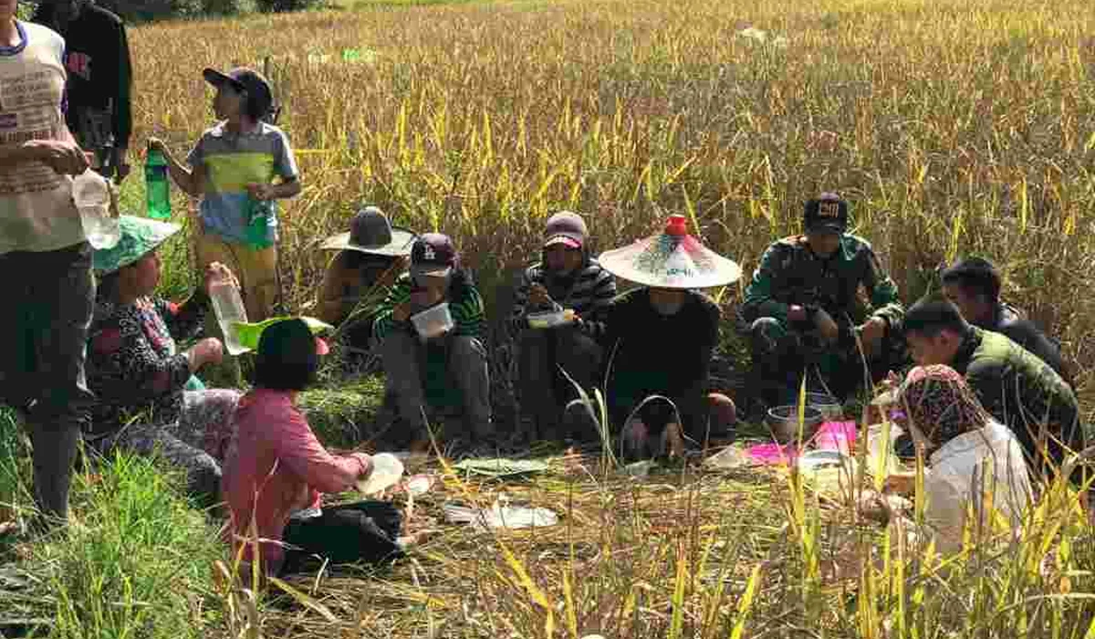Nasi, Makanan Pokok dan Simbol Identitas Kuliner Indonesia