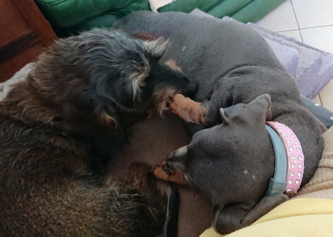 [Image: 20241001-145653.jpg]