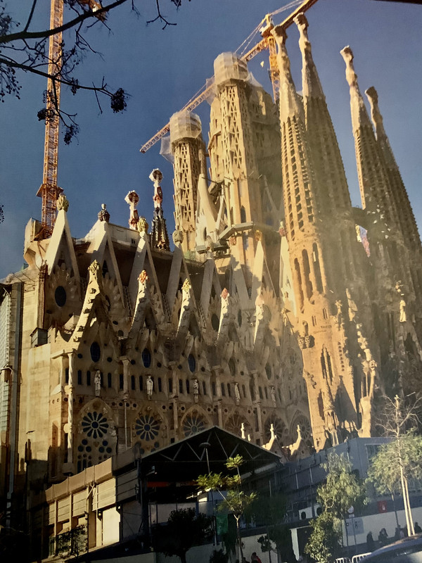 D7C60568-4E98-4300-B0A3-B76AE995CCDF