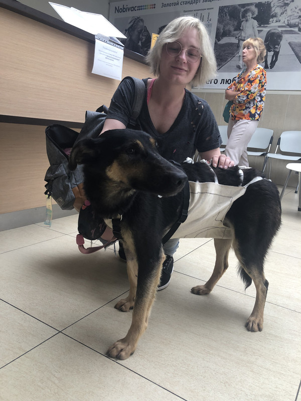 13EECAA0-7E57-4F76-9C20-7787A9C014FD