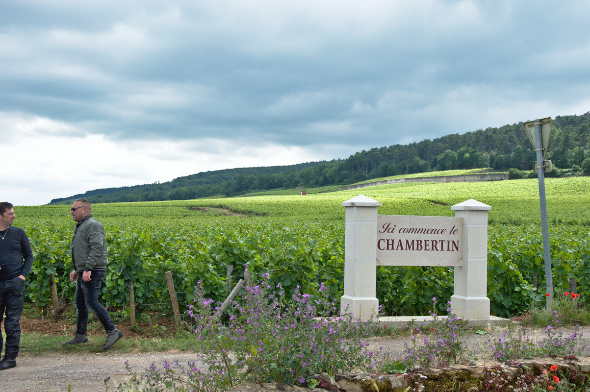 WE en Bourgogne les 22 et 23 juin R-DSC1422