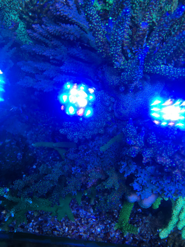 DBB0AEC2-9178-4A46-A495-7DBBAD4ADD0C