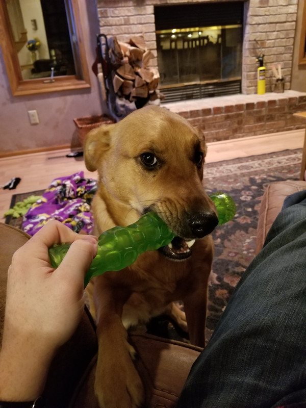20180310-211205.jpg
