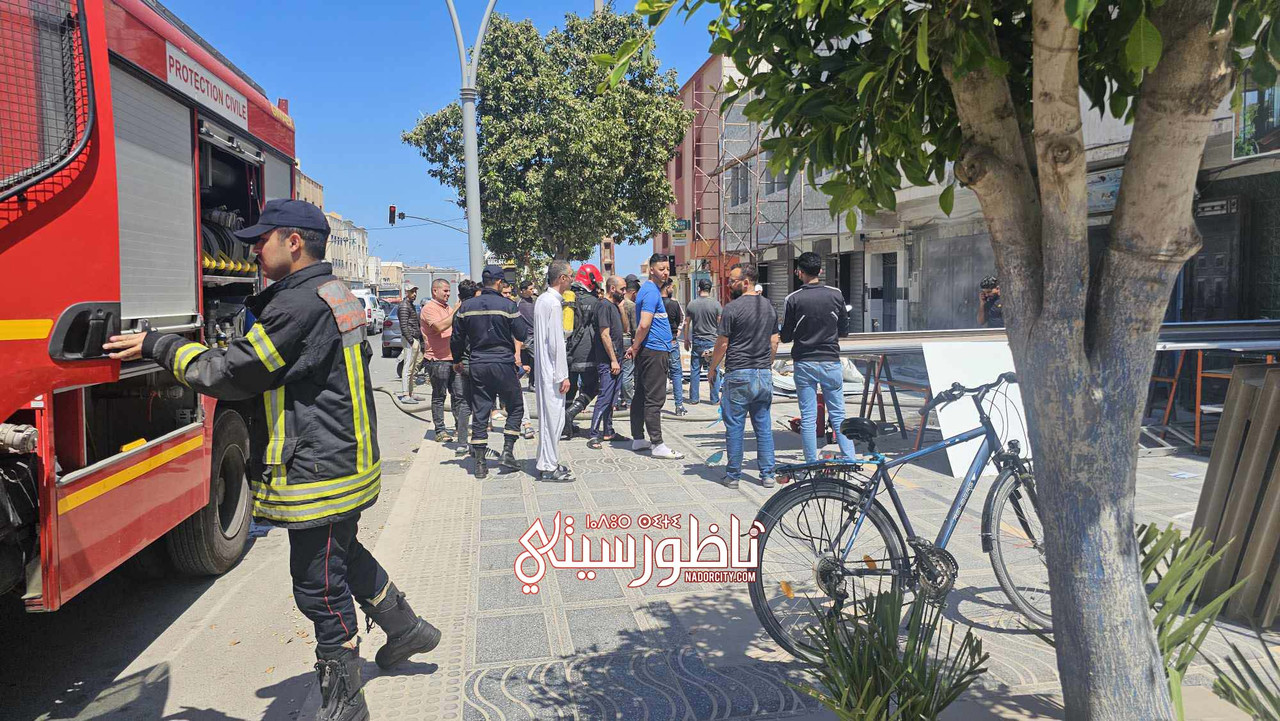 494859641-726082593317215-1478492925900495363-n