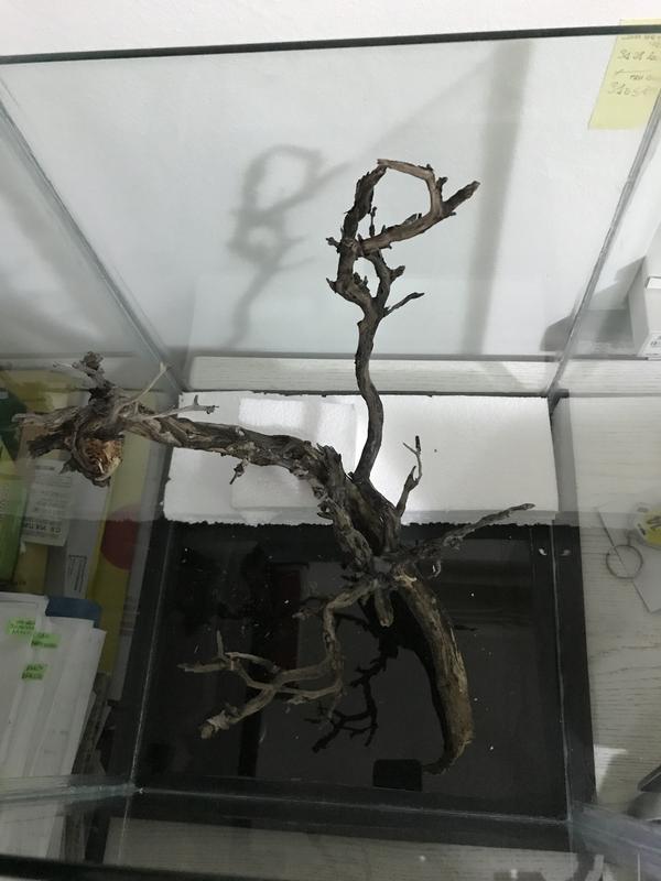 F4302B62-B794-48F1-BB7D-C24C00E51C10