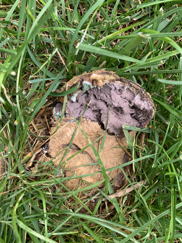 E90CF091-8048-47AE-9611-28DCCE08AB9A