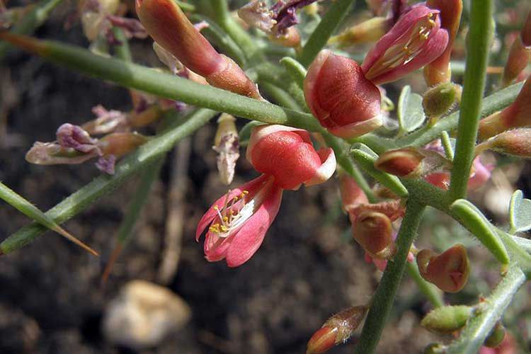 [Изображение: photo-2025-11-11-03-39-46.jpg]