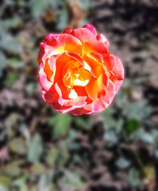 [Image: photostudio-1738360906389.jpg]