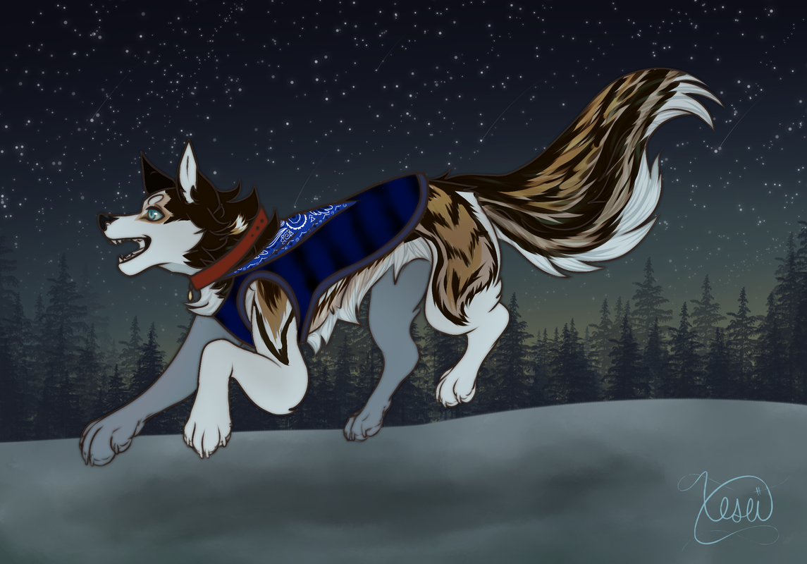 DC2C8784-8C65-407F-914C-72A50B90C973