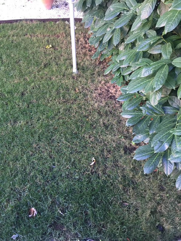 671C5581-B5E2-4ECF-9ABC-B779F9E79555