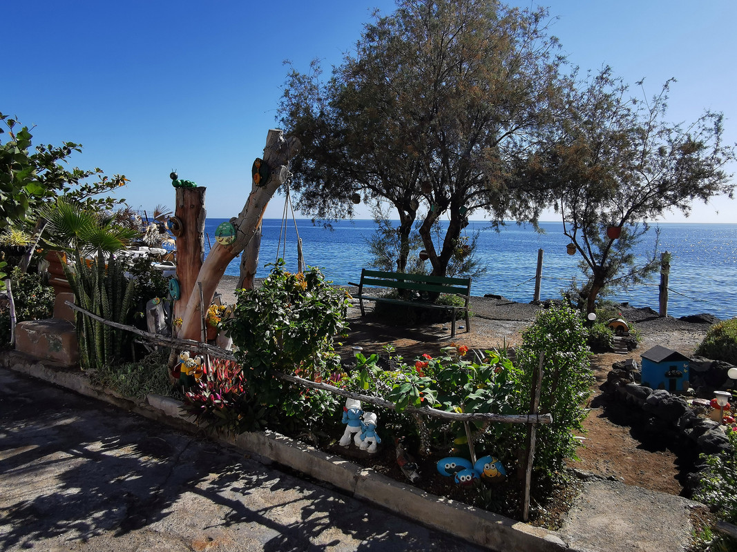 IMG_20240103_123330_edit_88368504655265