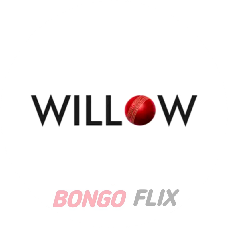Willow TV
