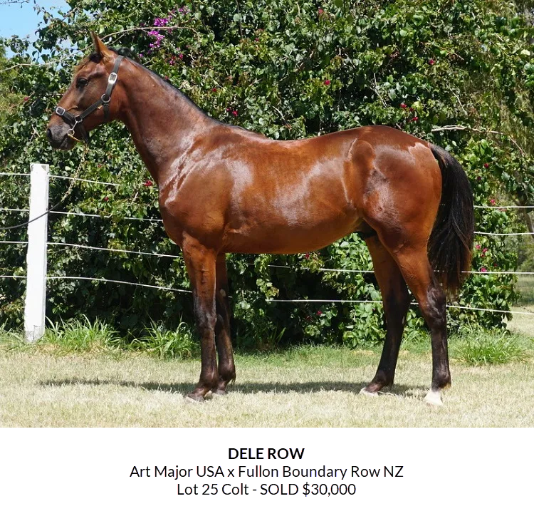 News Article Australian Harness Racing