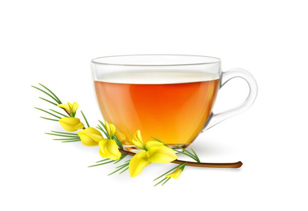 Alvita Fennel Tea