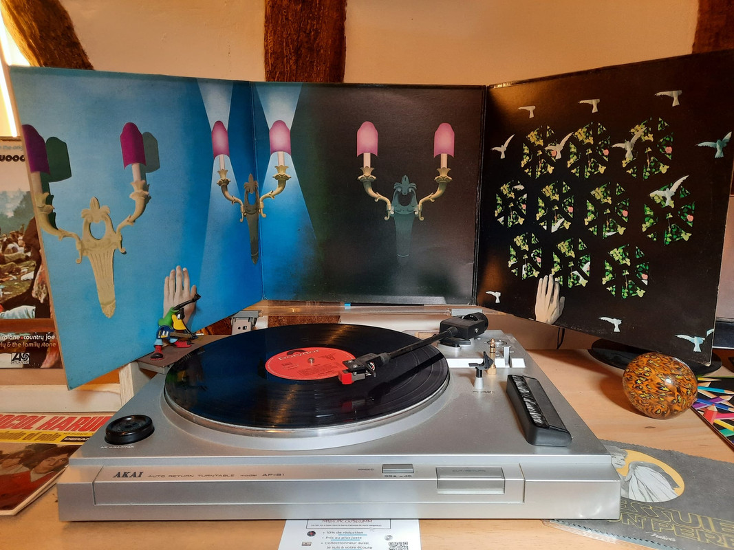 440961870_2263655927319693_3025633830008506700_n