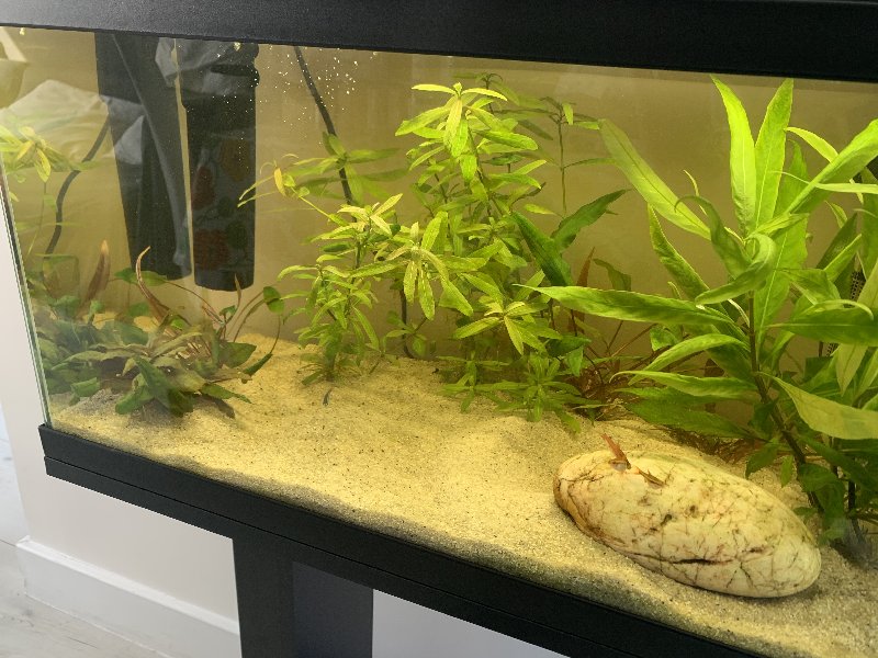 64EE1C5B-F55A-4288-AAB5-820CC01DA9B3