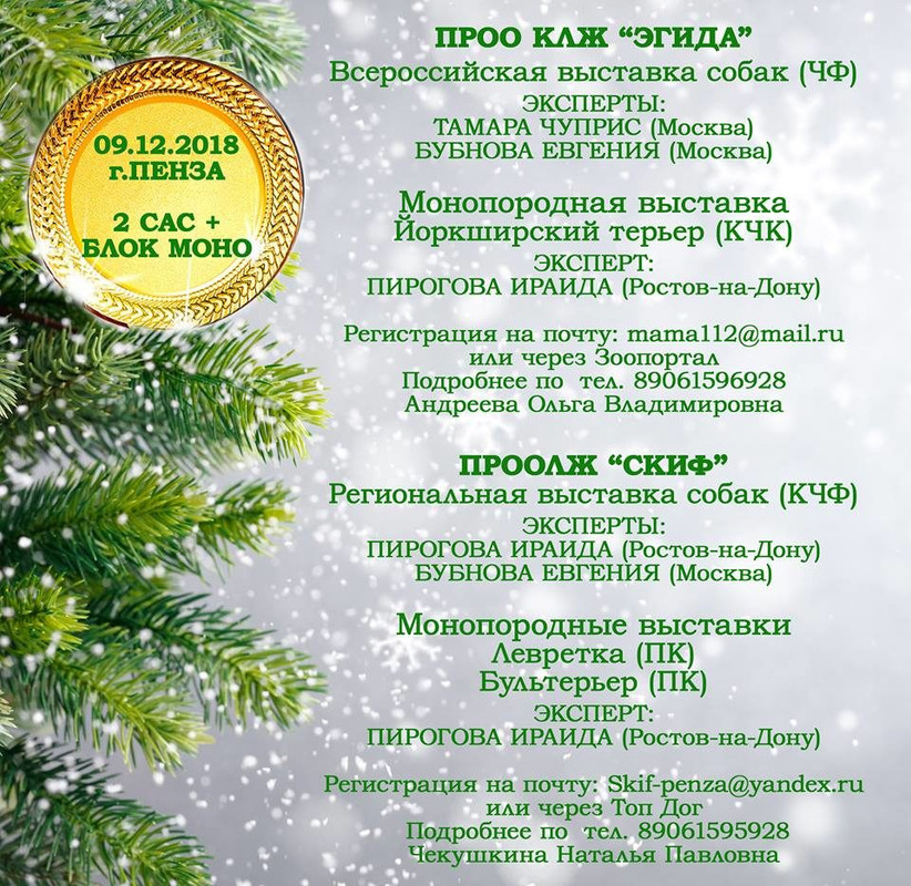 Выставка Пенза 9.12.18