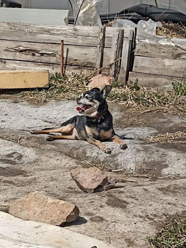 IMG_20230521_215802_685