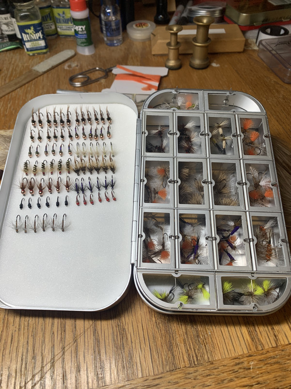 63560869202__3B010302-E45E-4A4C-864B-0A13AD477550