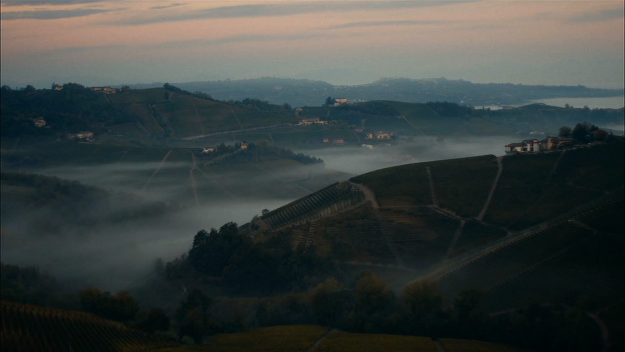 vlcsnap-2025-02-28-23h20m42s330