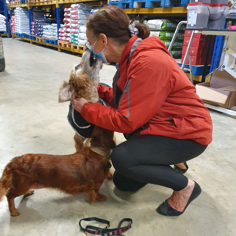 [Image: 20210205-152053.jpg]