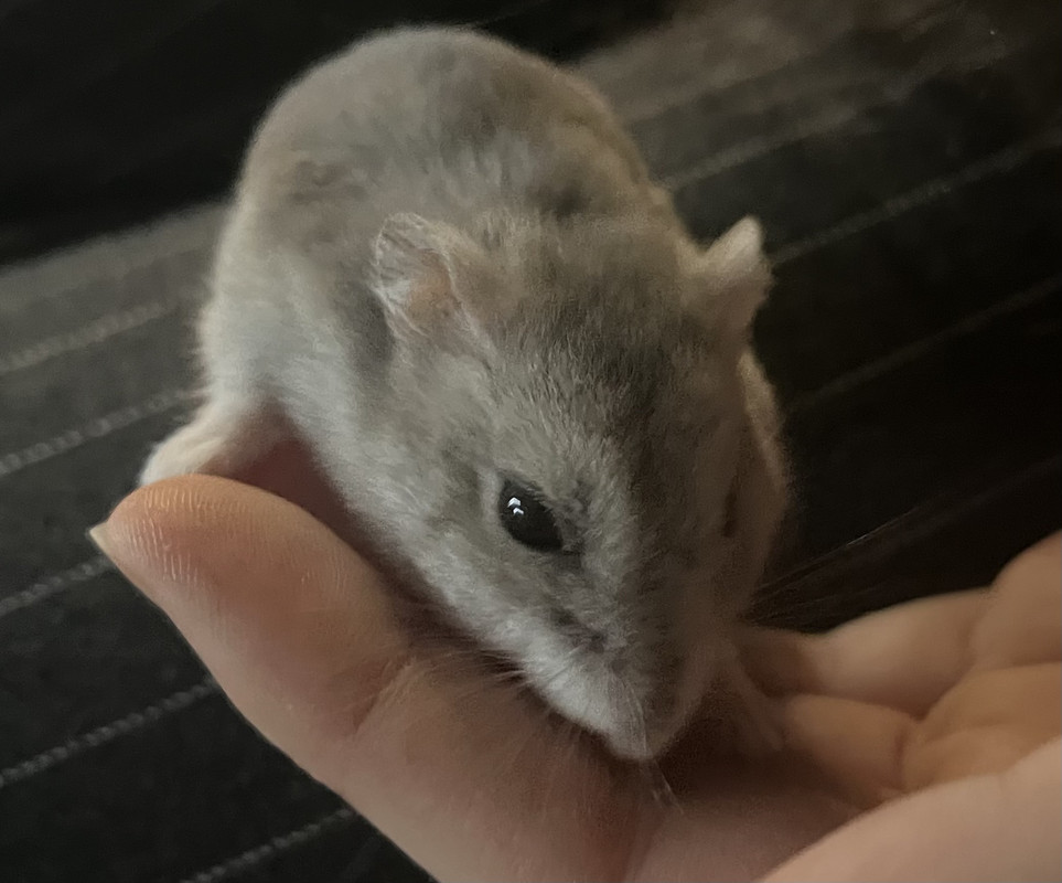 5C9FEA50-7974-43C0-8BBF-D754DB69C096