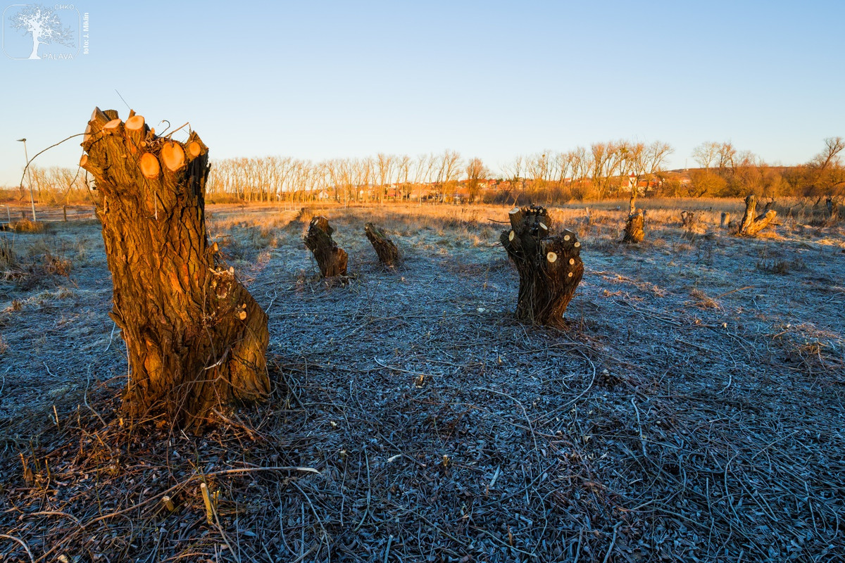 272109768_2073892852772456_3443573416952117312_n