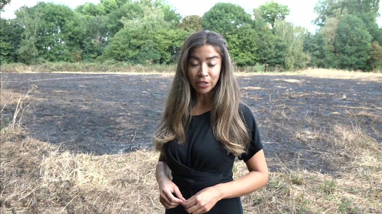 ITV News London_20220729_18001830.ts_snapshot_06.46.268