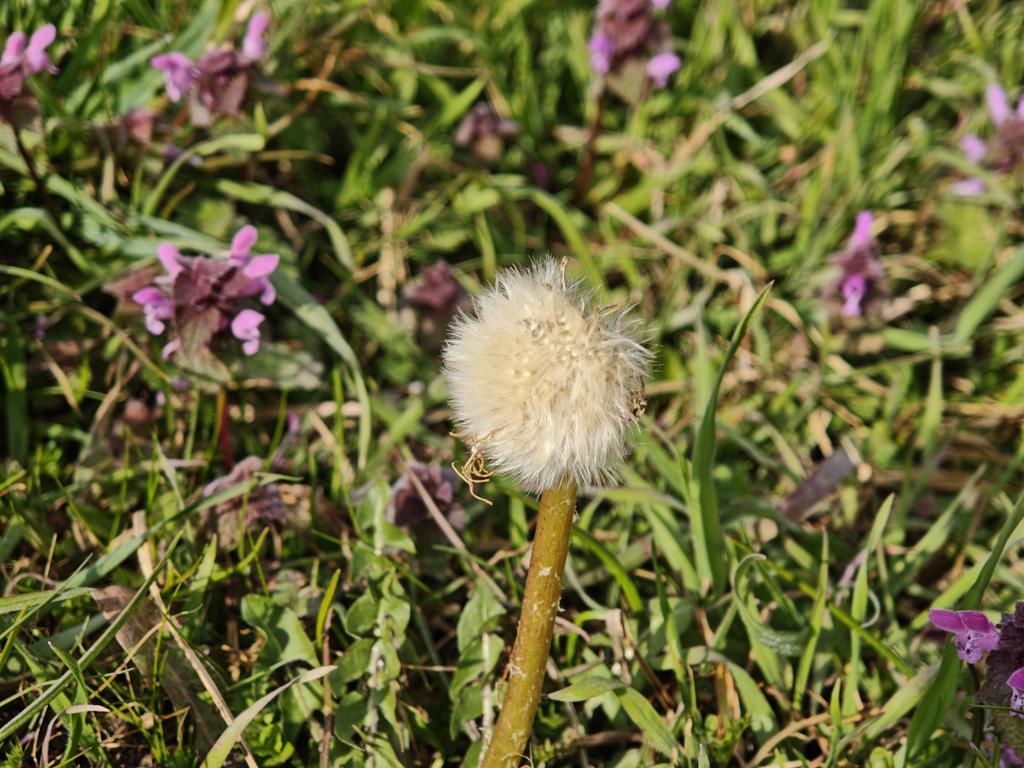 IMG 20260317 105902