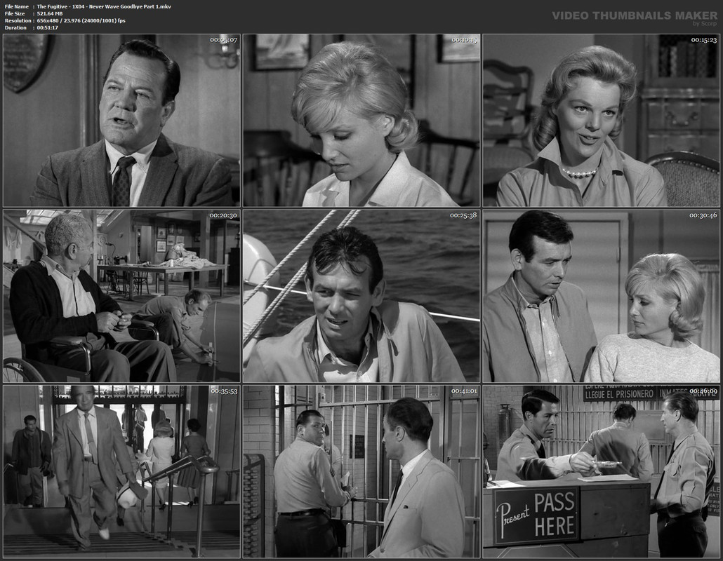 The Fugitive - 1X04 - Never Wave Goodbye Part 1.mkv