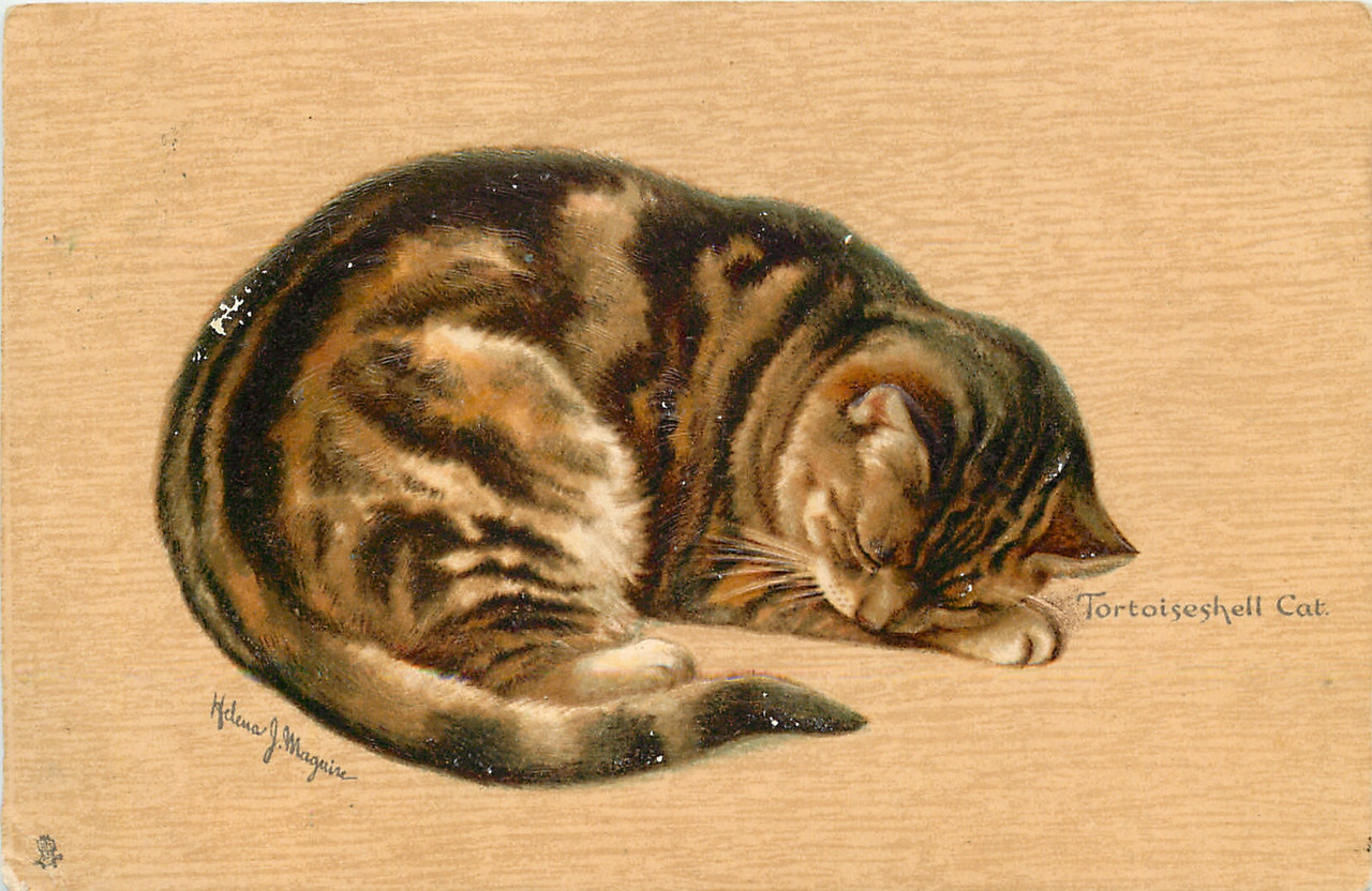 39-2011-11-28-10-27-19