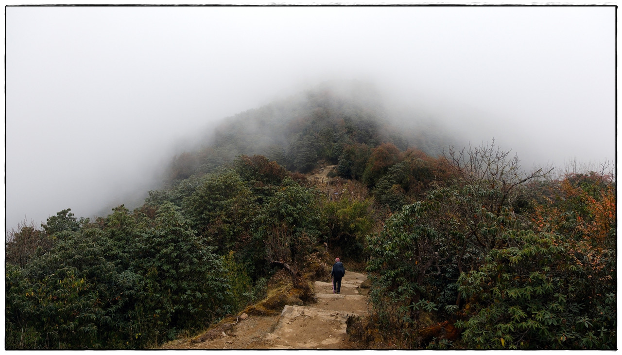 MH día 3: Forest Camp (2448 m) a High Camp (3543 m) - Trekking en Nepal: Annapurna Circuit y Mardi Himal (3)