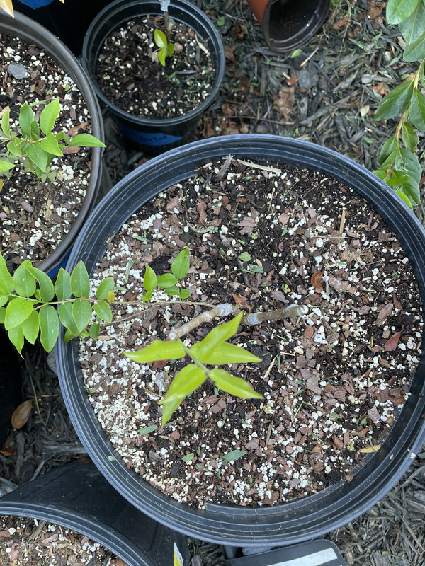 4BD2EE57-02CC-4ECC-80F8-52425179469C