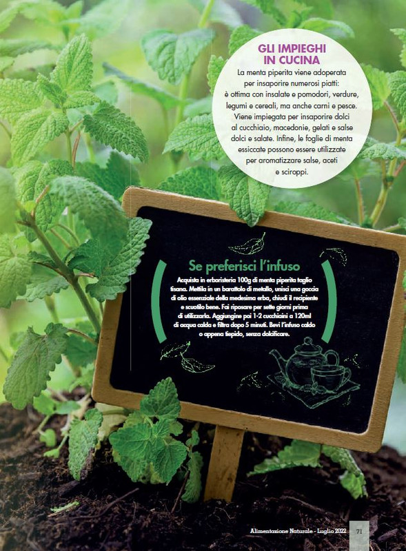 Alim Nat Lug 2022 (8)