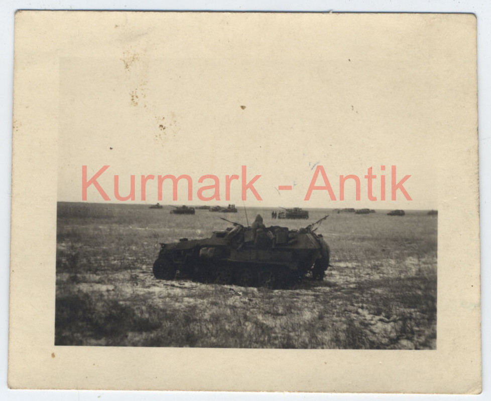 Foto Wehrmacht 13. P.D. Gren. Reg. 66 Russland 1944 Panzer Spähw