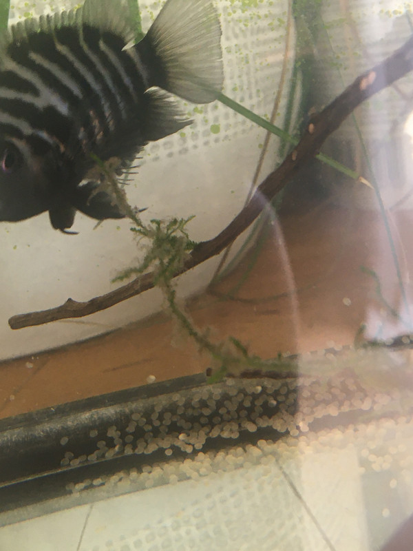 31ECD7AC-45DB-4C65-9F18-41E5C69F84DE