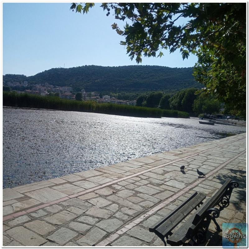 Slika