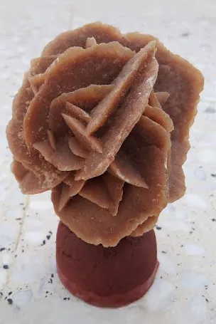 255D8DE9-92FA-4D57-AFD6-EF31D405746C