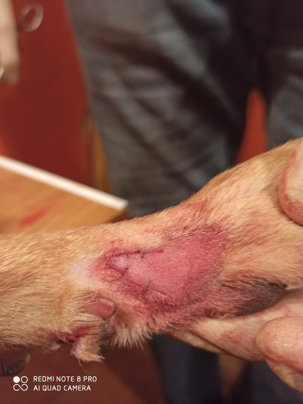 изображение_viber_2020-02-02_18-08-35