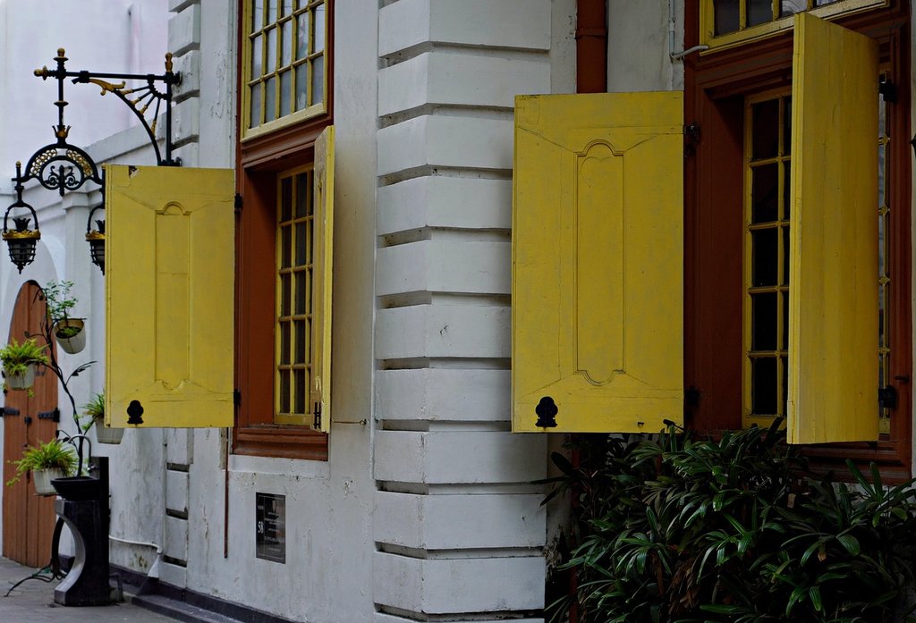 yellow-shutters.jpg