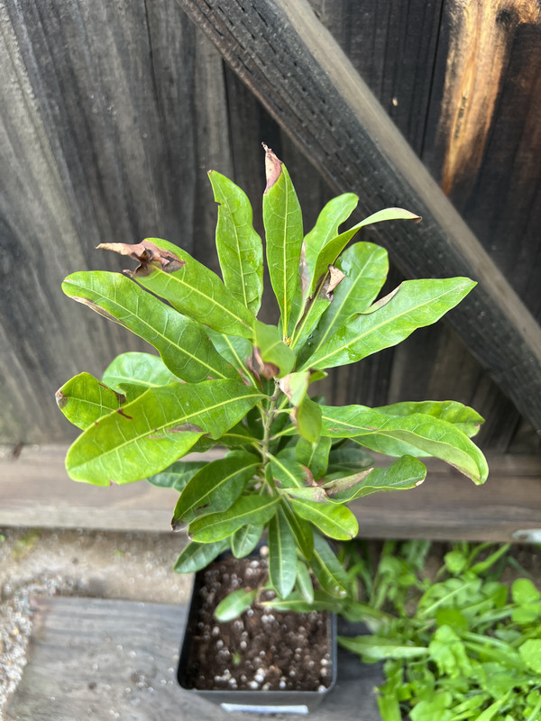 FA9E506C-728D-402E-AD0B-2810A9014EBD