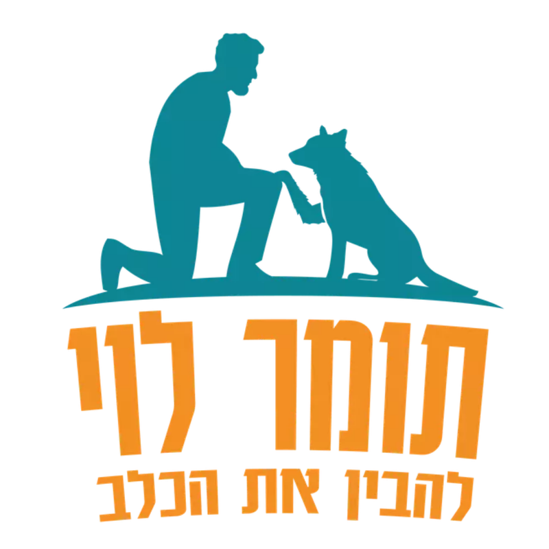 תומר לוי