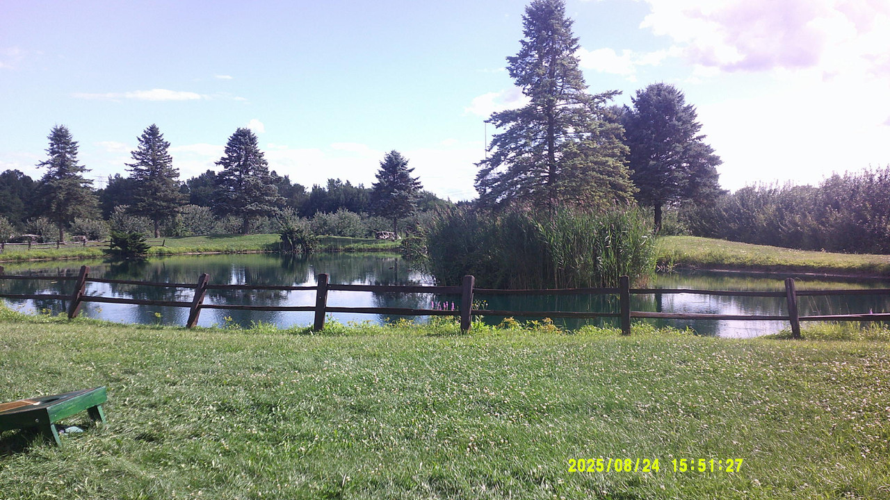 a green gradient