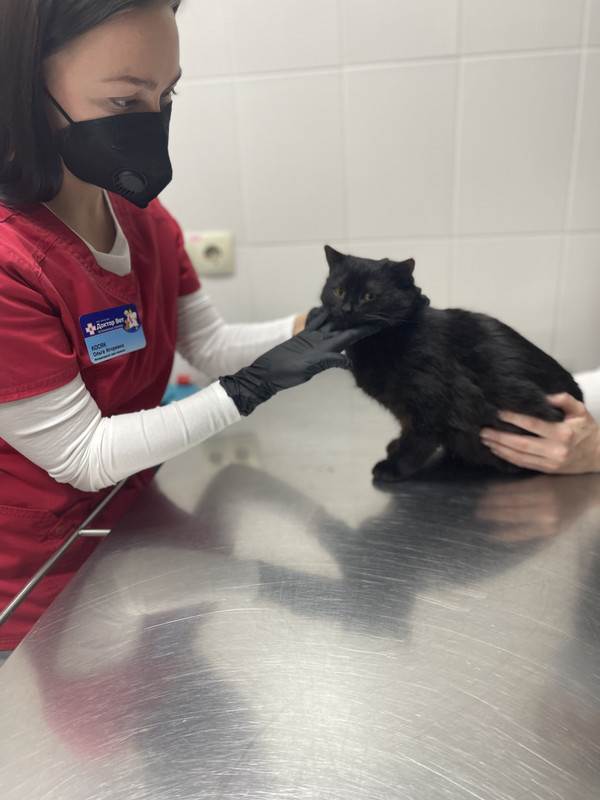 C70CD695-8ECC-4E28-A724-80A7E2867F03