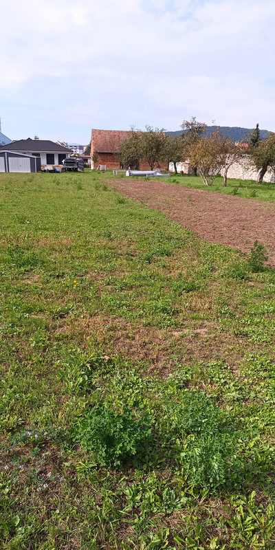 IMG_20240923_132930_777