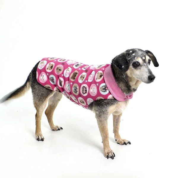 Roupa pet 2