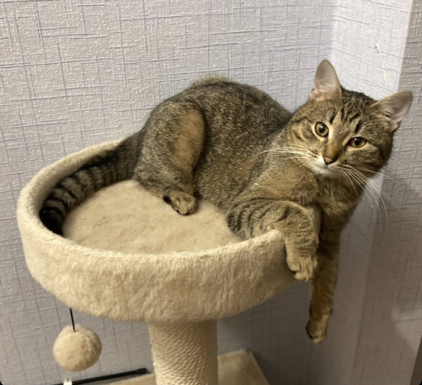 FAE6F816-BE7D-4281-8439-DBF9D2A65994