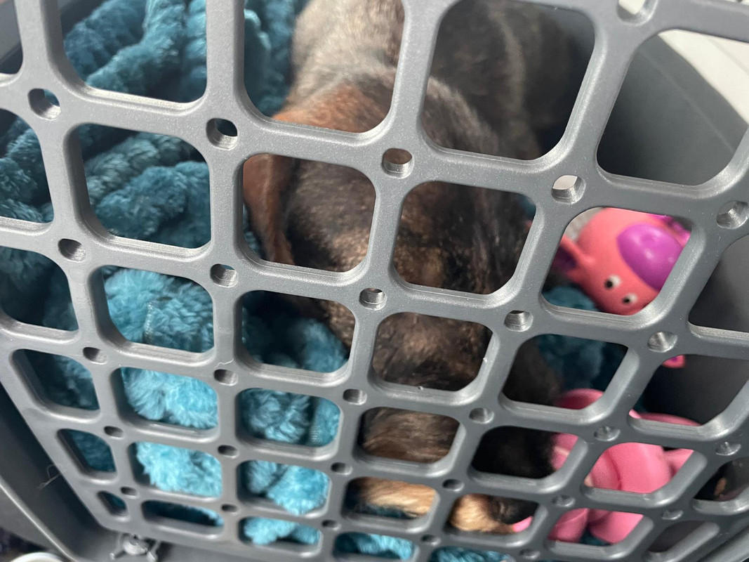 [Image: IMG-20250729-WA0000.jpg]